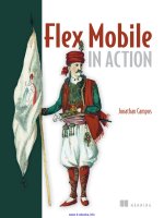 Flex Mobile in Action pptx