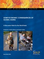 SOME ECONOMIC CONSEQUENCES OF GLOBAL AGING: A Discussion Note for the World Bank doc