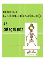 bài giảng các chế độ bảo hiểm xã hội bắt buộc - chế độ tử tuất