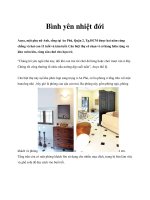 Bình yên nhiệt đới pptx