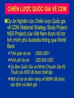 CHIẾN LƯỢC QUỐC GIA VỀ CDM pptx