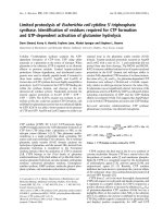 Báo cáo khoa học: Limited proteolysis of Escherichia coli cytidine 5¢-triphosphate synthase. Identiﬁcation of residues required for CTP formation and GTP-dependent activation of glutamine hydrolysis potx