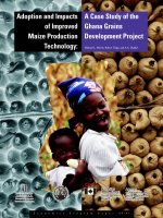 Adoption and Impacts of Improved Maize Production Technology: A Case Study of the Ghana Grains Development Project pot