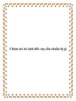 Chăm sóc bé sinh đôi- mẹ cần chuẩn bị gì pot