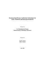 Benchmarking Biomass Gasification Technologies for Fuels, Chemicals and Hydrogen Production pot