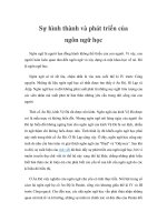 Sự hình thành và phát triển của ngôn ngữ học pdf