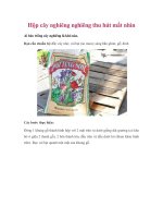 Hộp cây nghiêng nghiêng thu hút mắt nhìn docx