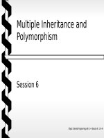 Object oriented programming with C++ - Session 6 Multiple Inheritance and Polymorphism pot