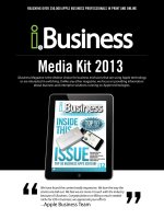 BUSINESS MEDIA KIT 2013 pot
