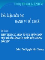 CÁC NHÂN tố ẢNH HƯỞNG đến mức độ hài LÒNG của NHÂN VIÊN TRONG tổ CHỨC