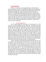 những giải pháp phòng ngừa rủi ro cho công ty vổ phần bất động sản phát đạt gặp phải tromg quá trình hoạt động