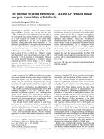 Báo cáo Y học: The proximal cis-acting elements Sp1, Sp3 and E2F regulate mouse mer gene transcription in Sertoli cells potx