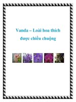 Vanda – Loài hoa thích được chiều chuộng docx