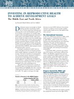 INVESTING IN REPRODUCTIVE HEALTH TO ACHIEVE DEVELOPMENT GOALS pptx