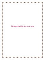 Tác dụng chữa bệnh của rau cải xoong. pptx