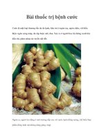 Bài thuốc trị bệnh cước pptx