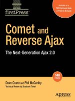 apress comet and reverse ajax, the next-generation ajax 2.0 (2008)
