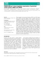 Báo cáo khoa học: PRDM1/Blimp1 downregulates expression of germinal center genes LMO2 and HGAL pot