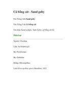 Cá bống cát - Sand goby pdf