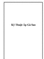 Kỹ Thuật Ấp Gà Sao doc