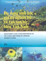 Đa dạng sinh học và giá trị nguồn lợi cá rạn san hô biển Việt Nam docx