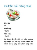 Cá trắm nấu măng chua pot