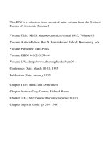 NBER Macroeconomics Annual 1995, Volume 10 ppt
