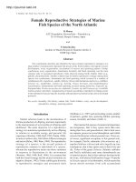 FEMALE REPRODUCTIVE STRATEGIES OF MARINE FISH SPECIES OF THE NORTH ATLANTIC pot