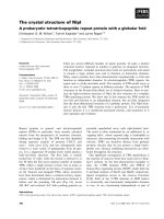 Báo cáo khoa học: The crystal structure of NlpI A prokaryotic tetratricopeptide repeat protein with a globular fold potx