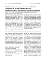 Báo cáo khoa học: Crystal structure of heme oxygenase-1 from cyanobacterium Synechocystis sp. PCC 6803 in complex with heme pot