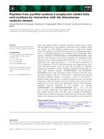 Báo cáo khoa học: Peptides from puriﬁed soybean b-conglycinin inhibit fatty acid synthase by interaction with the thioesterase catalytic domain pot