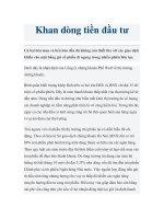Khan dòng tiền đầu tư docx