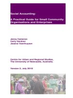 Social Accounting: A Practical Guide for Small Community Organisations and Enterprises pot