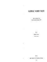 algebraic number theory - iyanaga