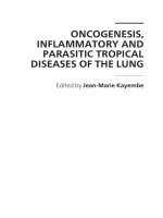 Oncogenesis, Inflammatory and Parasitic Tropical Diseases of the Lung Edited by Jean-Marie Kayembe potx
