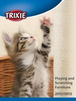Playing and Scratching Furniture 2012/2013 doc