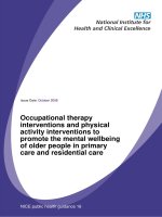Occupational therapy interventions and physical activity interventions to promote the mental wellbeing of older people in primary care and residential care pdf