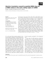 Báo cáo khoa học: Abortive translation caused by peptidyl-tRNA drop-off at NGG codons in the early coding region of mRNA potx