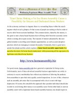 Starting a home based assembly career without risk potx