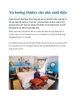 Xu hướng Ombre cho nhà sành điệu doc