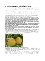 Công dụng chưa biết về quả bưởi ppt