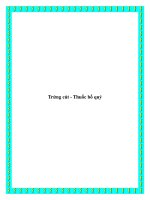 Trứng cút - Thuốc bổ quý docx