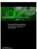 cancer nanotechnology going small for big advances doc