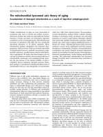 Báo cáo Y học: The mitochondrial-lysosomal axis theory of aging Accumulation of damaged mitochondria as a result of imperfect autophagocytosis ppt