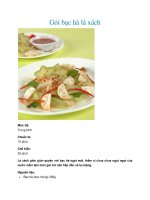 Gỏi bạc hà lá xách doc