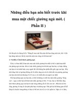 Những điều bạn nên biết trước khi mua một chiếc giường ngủ mới. ( Phần II ) pdf