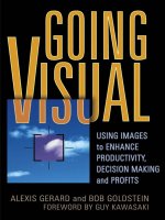 GOINGUSING IMAGES to ENHANCE PRODUCTIVITY, DECISION MAKING pdf