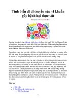 Tính biến dị di truyền của vi khuẩn gây bệnh hại thực vật potx