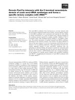 Báo cáo khoa học: Peroxin Pex21p interacts with the C-terminal noncatalytic domain of yeast seryl-tRNA synthetase and forms a speciﬁc ternary complex with tRNASer potx