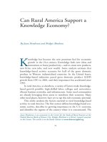 Can Rural America Support a Knowledge Economy? docx